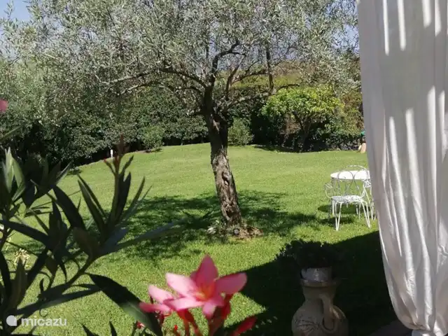 Casa Oliva Nera- Lemon Suite huren in Italië, Sicilië, Acireale - appartement Relaxen in de mediterraanse tuin onder de olijfbomen..met zicht op de Etna!