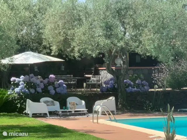 Casa Oliva Nera- Lemon Suite huren in Italië, Sicilië, Acireale - appartement Schaduwplek bij het zwembad