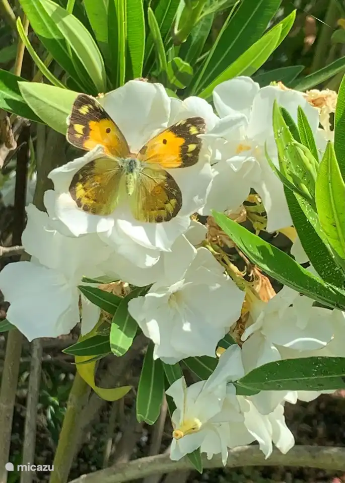 Urlaub in der Natur, abseits der Menschenmassen! 