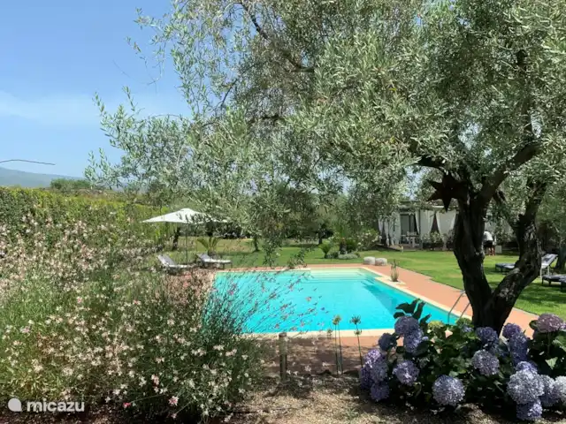 Casa Oliva Nera- Lemon Suite huren in Italië, Sicilië, Acireale - appartement Privacy!