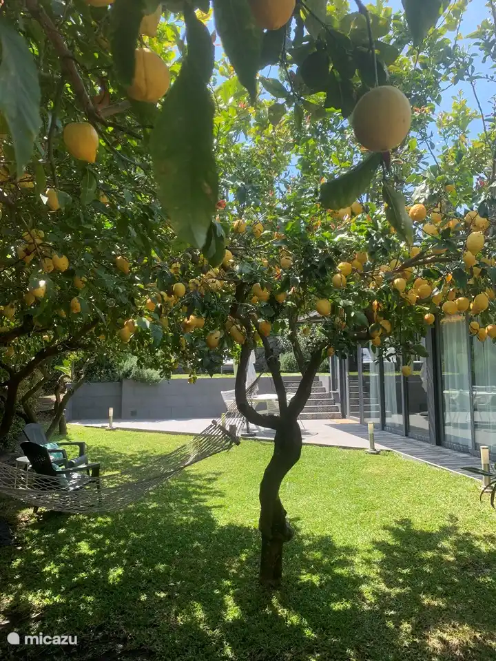Entspannen Sie unter den Zitronenbäumen im privaten Garten der Lemon Suite