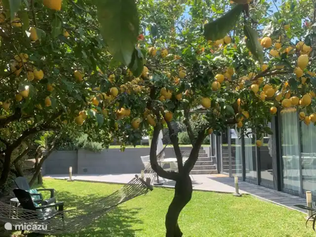 Casa Oliva Nera- Lemon Suite huren in Italië, Sicilië, Acireale - appartement Relaxen onder de citroenbomen in de privé tuin van de Lemon Suite