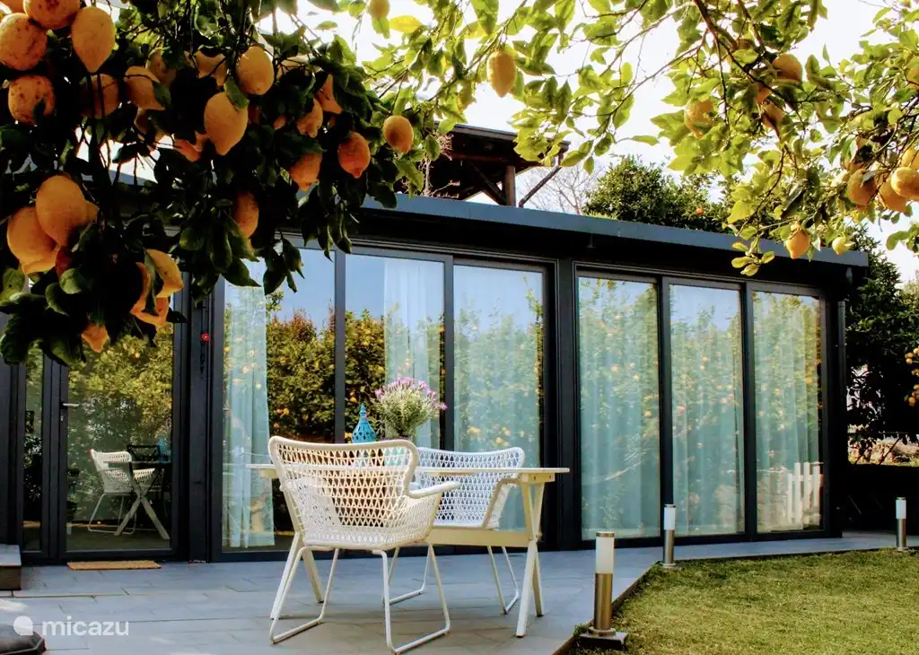 Die Lemon Suite mit Küche und offenen Türen