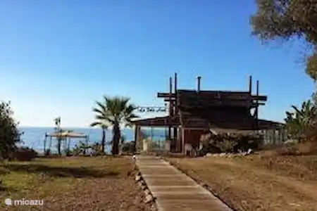 Chiriquito La Vela Azul