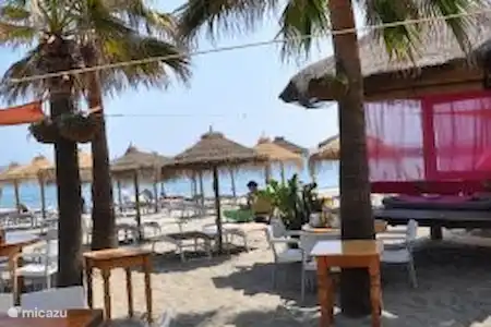 Restaurants et clubs de plage