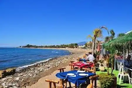 Restaurants et clubs de plage