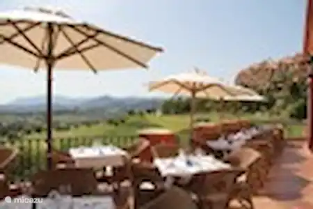 Restaurants et clubs de plage