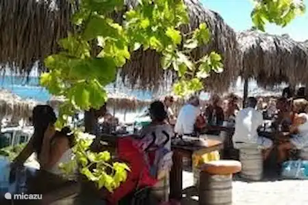 Restaurants et clubs de plage