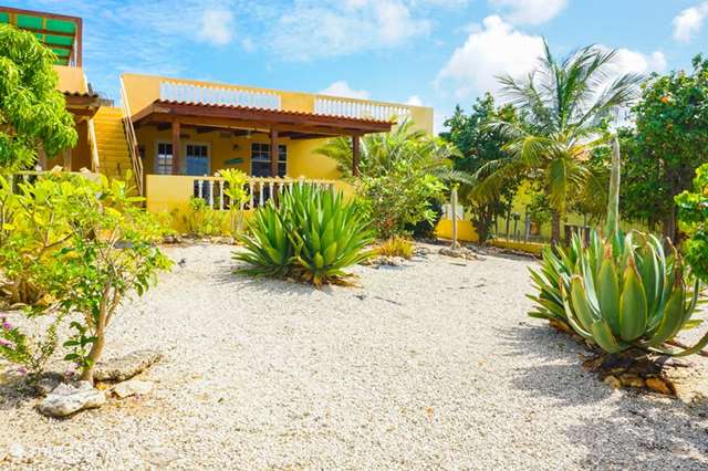 Vakantiehuis Bonaire – vakantiehuis Kas de Konink