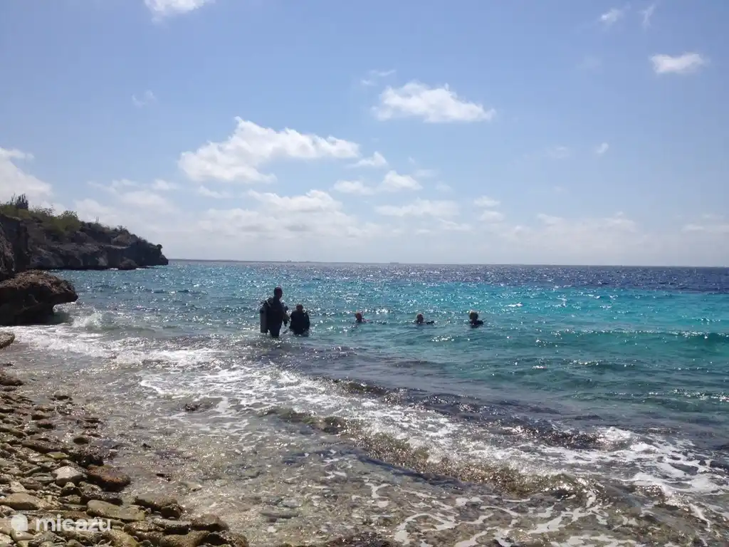 diving on Bonaire