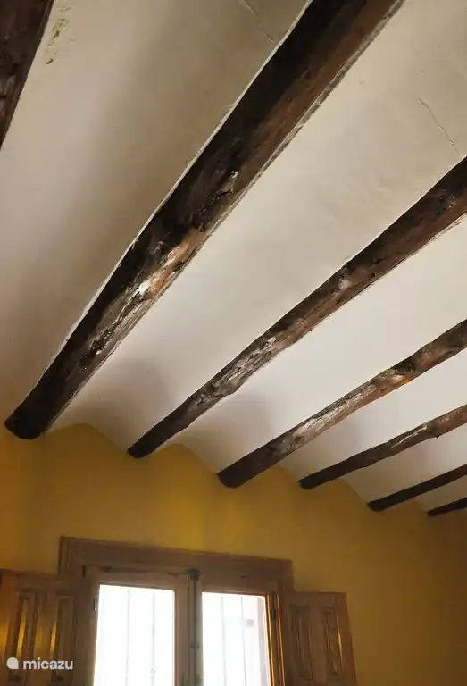 Elementos aut&#233;nticos