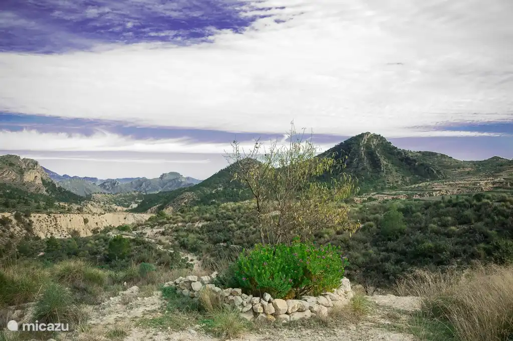 Vista desde la terraza trasera