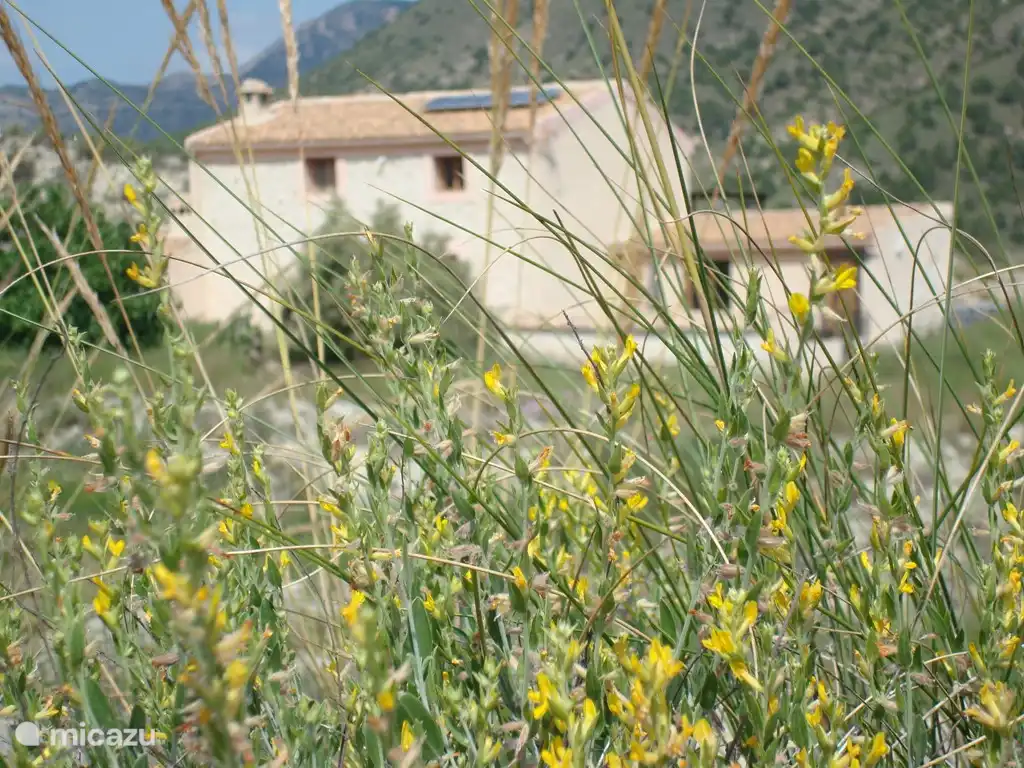 Frente de la casa de vacaciones