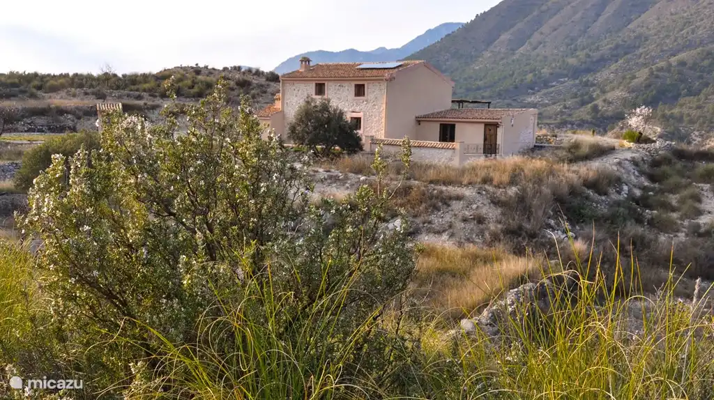 Vista del patio y la cocina.