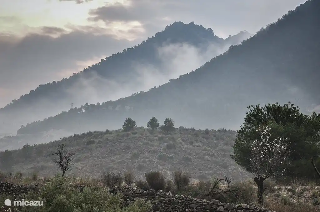 Vista desde la terraza