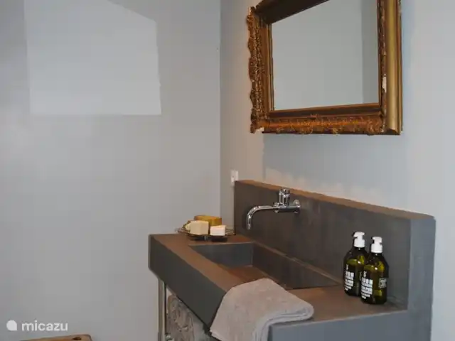 Boutique Villa Marilove huren in Frankrijk, Lot, Souillac - vakantiehuis badkamer