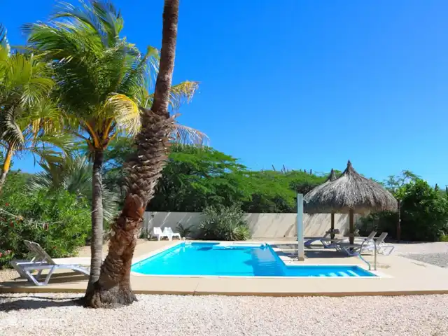 Location de Vacances Aruba, Nord, Sabana Liber, villa - Aruba Villa Floride Vue de la piscine