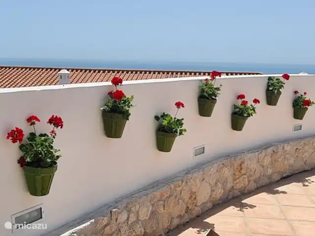 Villa Las Dalias sur la Costa Tropical | Espagne, Costa Tropical, Almuñécar - villa Patio de los Naranjos