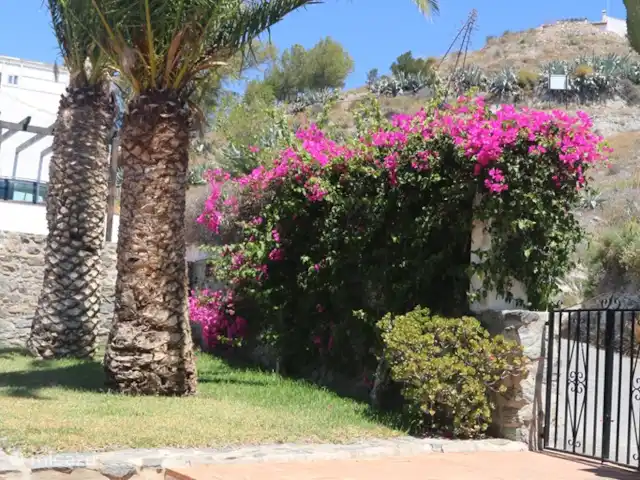 Villa Las Dalias sur la Costa Tropical | Espagne, Costa Tropical, Almuñécar - villa le jardin de devant, avec palmiers, bougainvilléé et accès à la terrasse avec cuisine extérieure