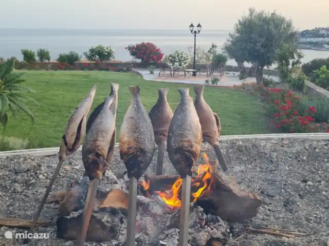 Villa Las Dalias sur la Costa Tropical | Espagne, Costa Tropical, Almuñécar - villa Barco de espetos pour un meilleur travail de barbecue