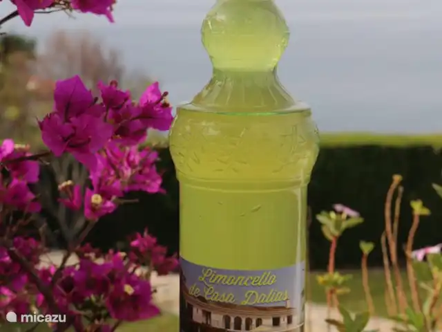 Villa Las Dalias sur la Costa Tropical | Espagne, Costa Tropical, Almuñécar - villa le limoncello est fait avec une riche récolte de citron du verger
