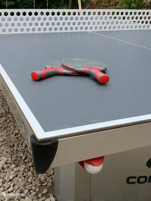 actividades deportivas en tu propio jard&#237;n