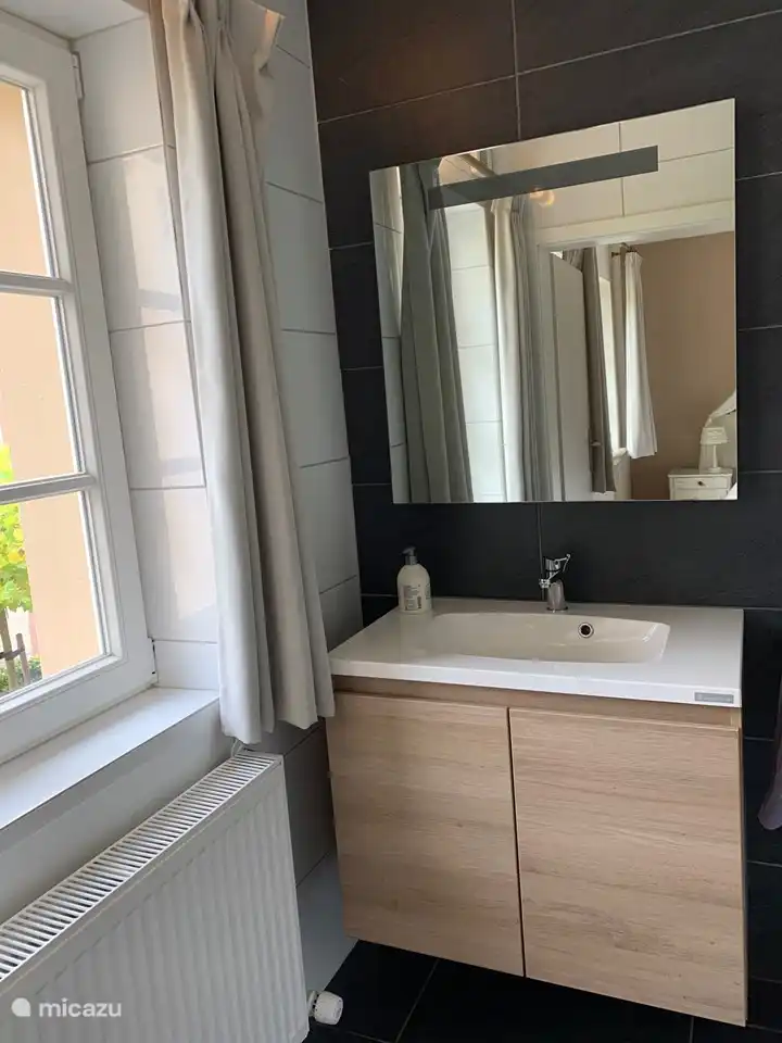 cuarto de ba&#241;o dormitorio principal