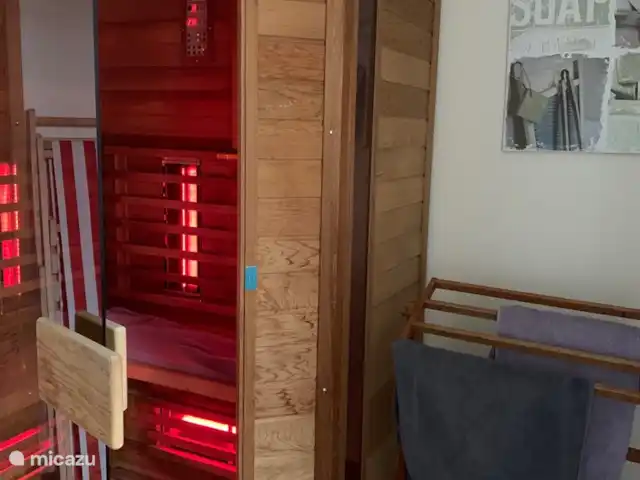 Kylltaler Hof | Allemagne, Eifel, Malbergweich - maison de vacances Sauna infrarouge