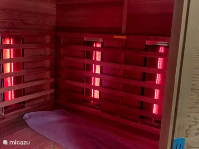 Kylltaler Hof | Allemagne, Eifel, Malbergweich - maison de vacances sauna infrarouge