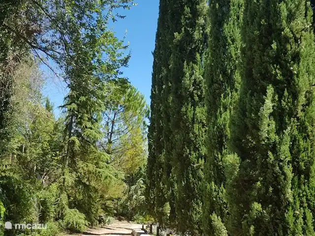 Villa Bellavista en Italia, Lacio, Stimigliano - casa vacacional entrada de coches