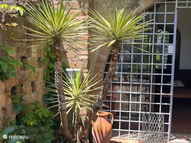 Villa Bellavista en Italia, Lacio, Stimigliano - casa vacacional jardín