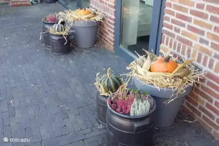 Vakantiehuis Nederland, Limburg, Echt-Susteren vakantiehuis Vakantiewoning - Den Dreesakker 3 Herfst