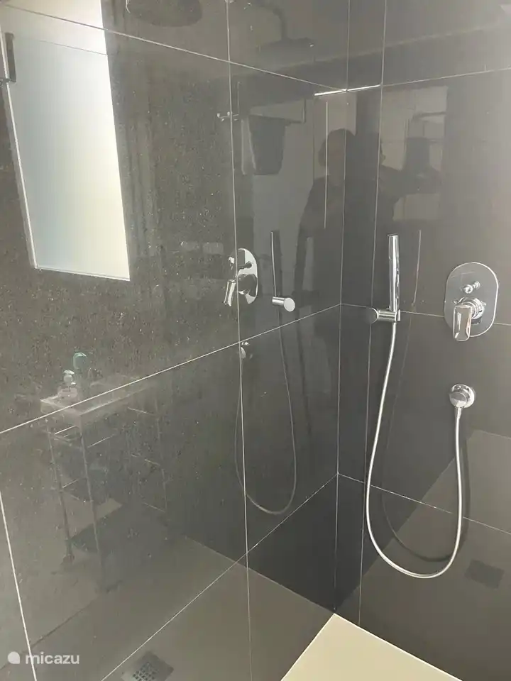 1. Badezimmer mit Dusche, WC und 2 Waschbecken im Erdgeschoss