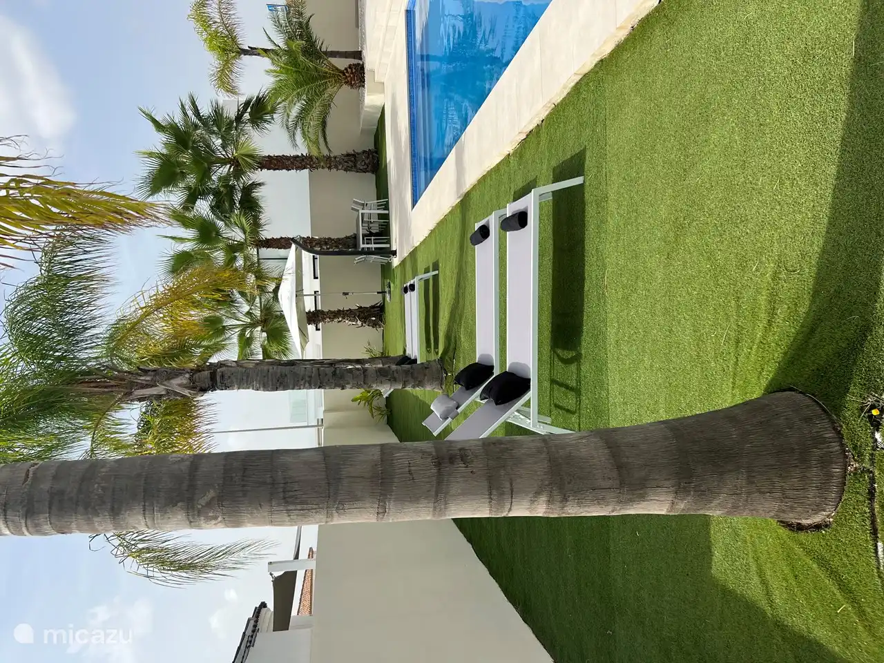 Garten mit 4 modernen Sonnenliegen