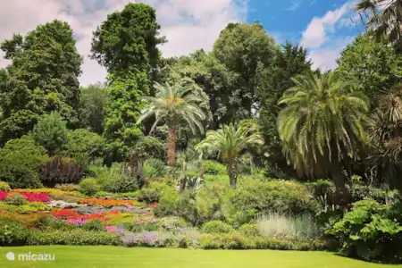 Villa Carlotta