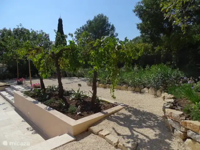 Villa Paranis | France, Côte d'Azur, Frejus - villa Jardin avec des vignes