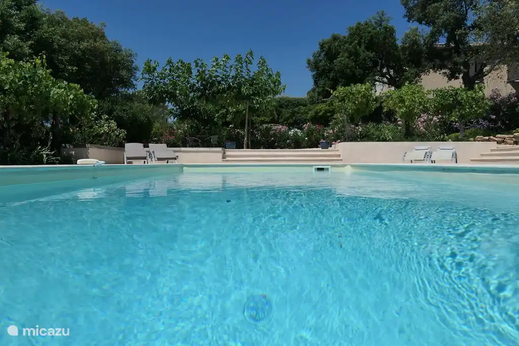 Tauchen Sie ein in den Pool