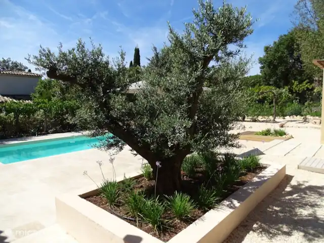 Villa Paranis | France, Côte d'Azur, Frejus - villa Le bel olivier ancien