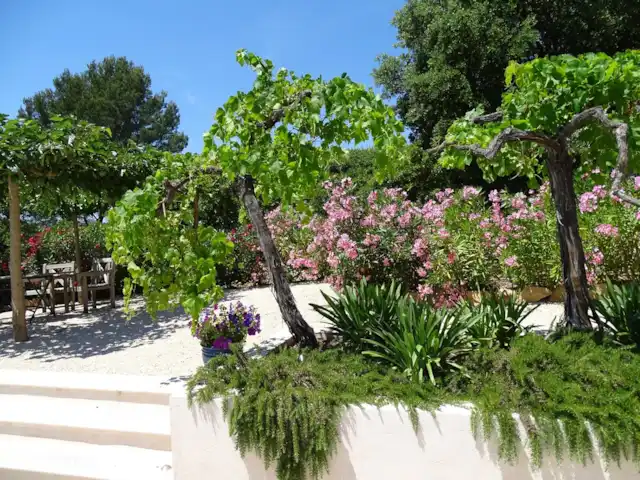 Villa Paranis | France, Côte d'Azur, Frejus - villa Asseyez-vous à l'ombre et profitez des lauriers-roses en fleurs, des vignes et du romarin parfumé