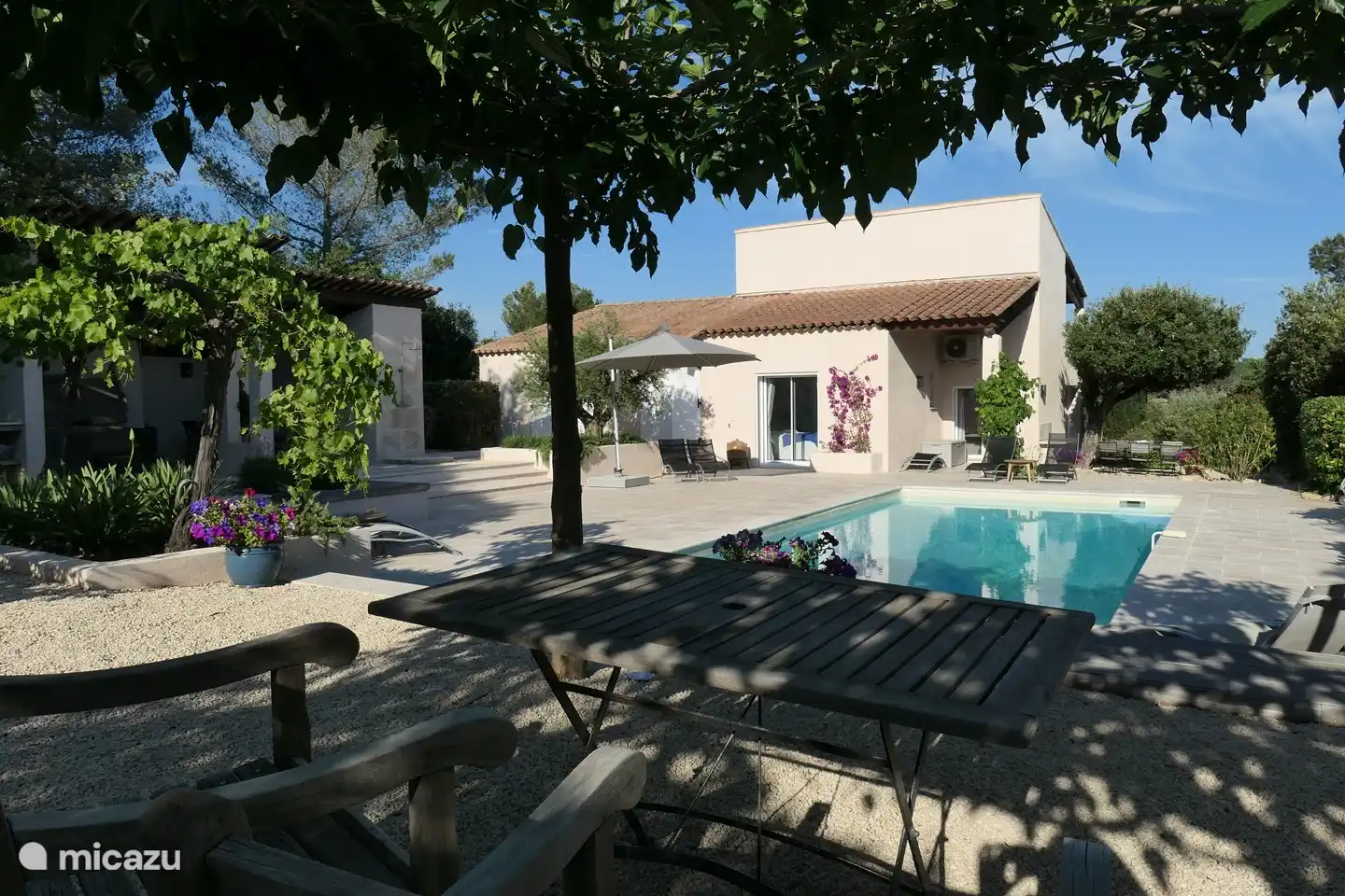 Der Sitz unter den Maulbeerbäumen, ein natürlicher Regenschirm