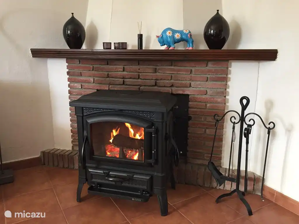 Estufa de le&#241;a para un calor atmosf&#233;rico y acogedor.