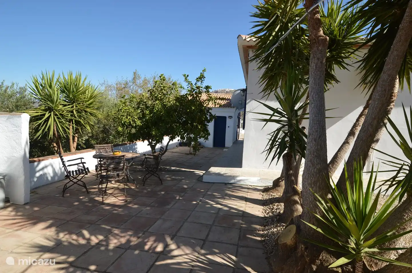 Terraza en el costado de la villa (este), vista desde la casa de hu&#233;spedes con limonero