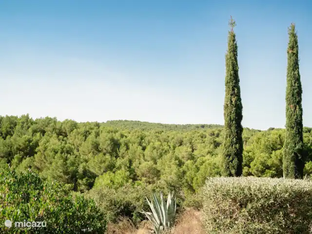 Villa Aphrodite | France, Aude, Pouzols-Minervois - villa