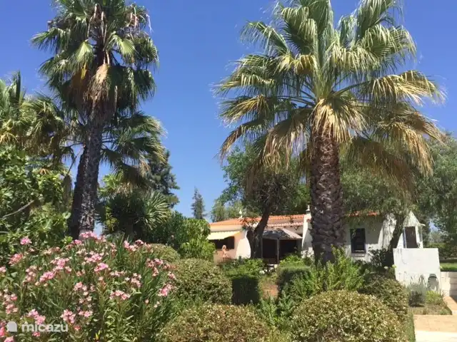 Maison d'Urzé | Portugal, Algarve, Alcantarilha - villa Jardin entièrement clos d'un total de 2500m2