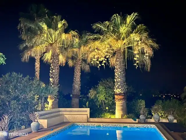 Maison d'Urzé | Portugal, Algarve, Alcantarilha - villa Piscine avec éclairage, banc et beaux palmiers.