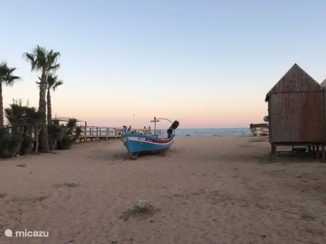 Maison d'Urzé | Portugal, Algarve, Alcantarilha - villa Plage à moins de 10 minutes en voiture