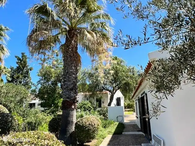 Maison d'Urzé | Portugal, Algarve, Alcantarilha - villa Allée de jardin devant la maison d'amis en direction de la maison principale.