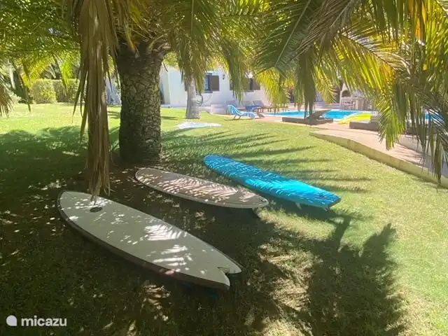 Maison d'Urzé | Portugal, Algarve, Alcantarilha - villa Vue de la maison principale depuis le jardin à côté de la piscine.