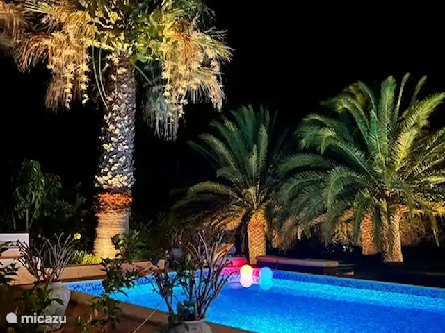 Maison d'Urzé | Portugal, Algarve, Alcantarilha - villa Jardin illuminé le soir