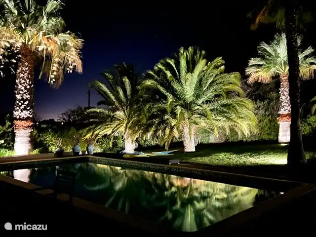 Maison d'Urzé | Portugal, Algarve, Alcantarilha - villa Jardin illuminé le soir